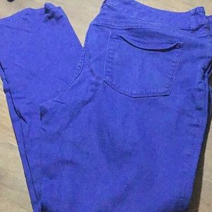 The Limited 678 Royal Blue Jeans